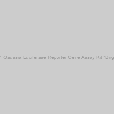Image of Amplite™ Gaussia Luciferase Reporter Gene Assay Kit *Bright Glow*